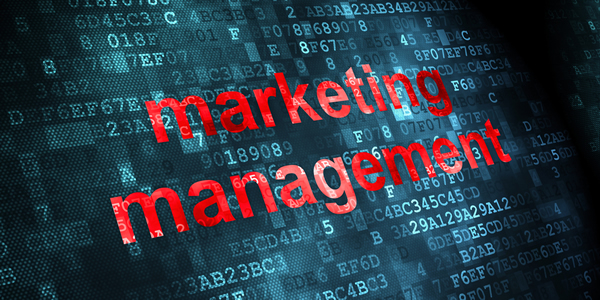 Markkinoinnin johtaminen määrittelee asiakaspolkustrategian, jonka avulla yritys yltää kasvutavoitteisiinsa.